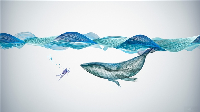 Underwater Whale Illustration