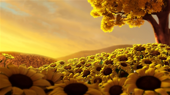 Sunflower Field with Tree 4K