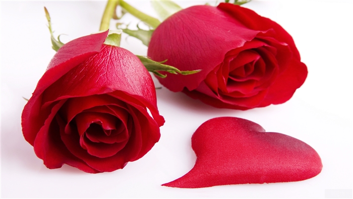 Two Red Roses and a Heart Petal 4K