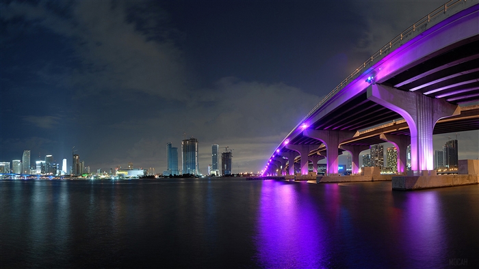 Miami City Skyline at Night with Bridge