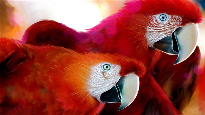 Two Scarlet Macaw Parrots Close-up 4K