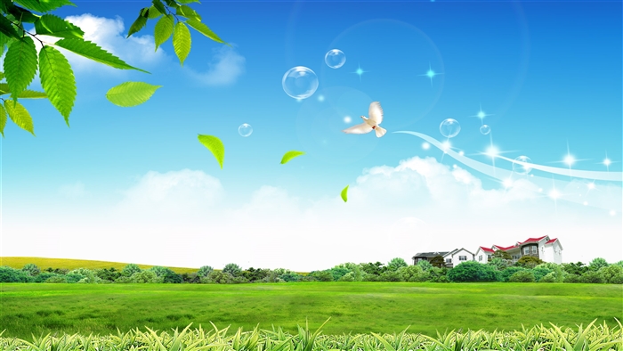 Peaceful Life
