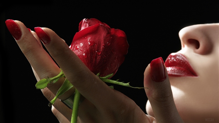 Red Rose and Lips