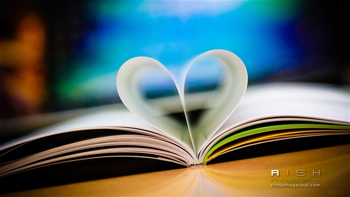 Love Heart Shape Book 4K