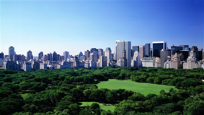 Manhattan Skyline and Central Park in Summer 4K