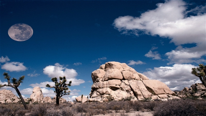 Full Moon over Joshua Tree National Park, California