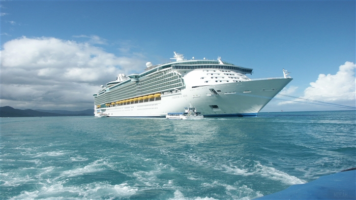 Royal Caribbean Cruise Ship in the Ocean 4K