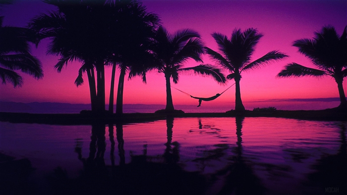 Hammock between palm trees at sunset in Puerto Vallarta, Mexico 4K