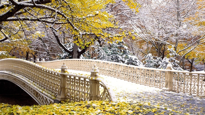 Fall snow on a bridge in Central Park, New York 4K