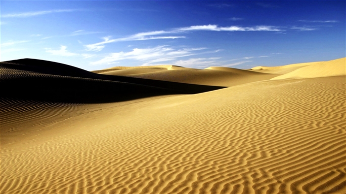 Sahara Desert dunes 4K