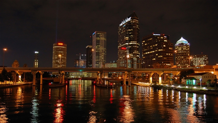 Tampa Bay Skyline at Night 4K