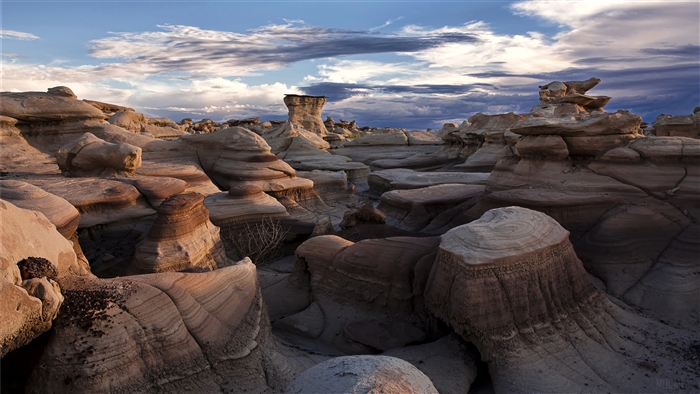 Bisti Badlands New Mexico