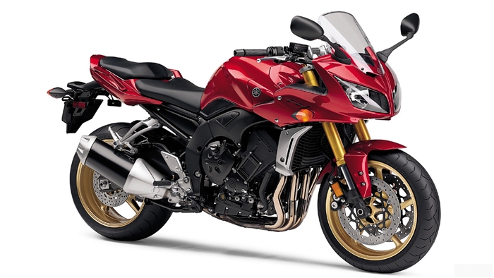 2009 Yamaha FZ1 motorcycle