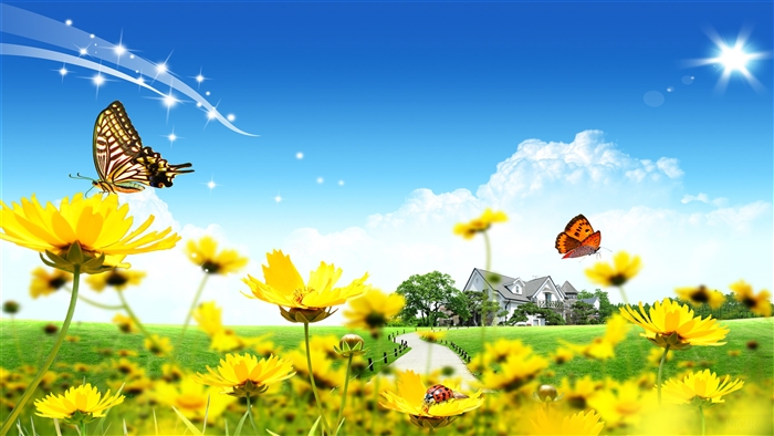 Beautiful Flowers Home
