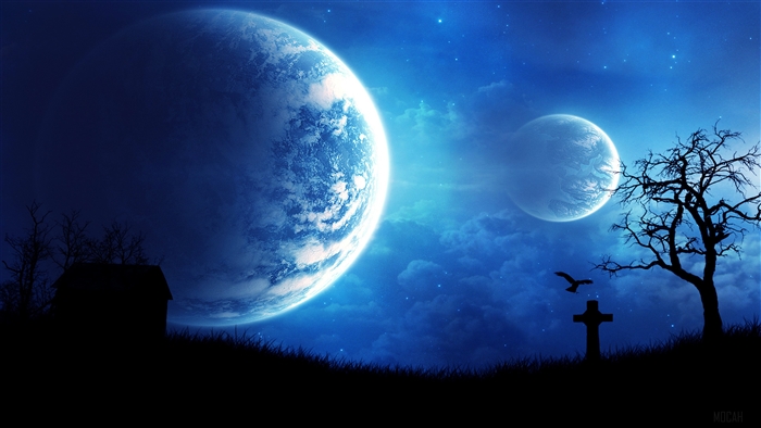 Dream Night