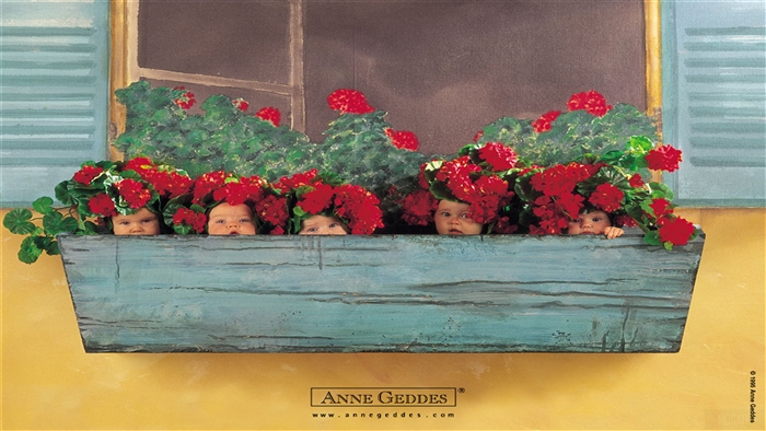 Babies in a flower box