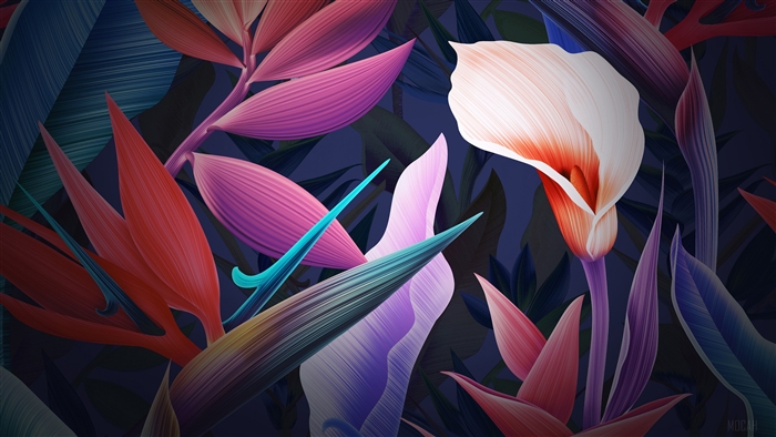 Neon Flowers Huawei Mate 10 Stock