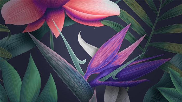 Floral Huawei Mate 10 Stock
