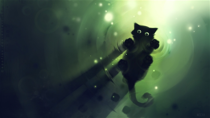 Cute Black Cat 4K