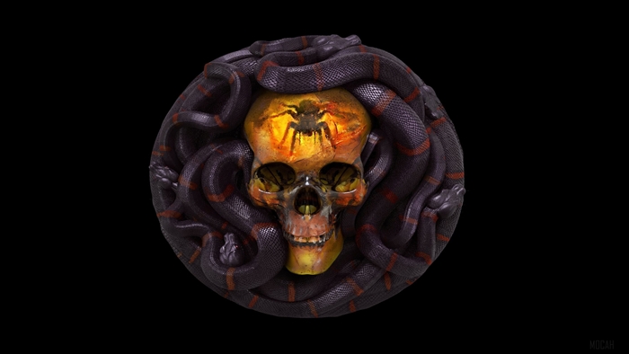 Skull with spider and snakes 4K
