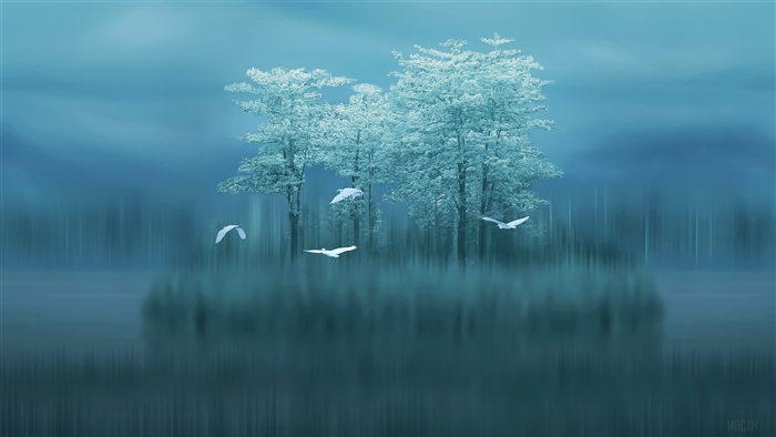 Birds flying over a lake with trees