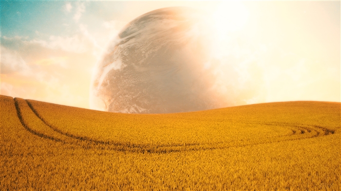 Wheat field with a planet in the sky