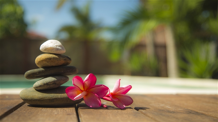 Stacked Stones and Pink Flowers 4K