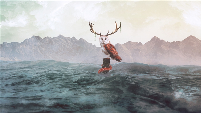 Barn owl with antlers on a post in the sea