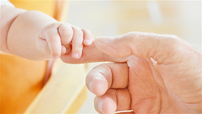 Baby's Hand Holding Adult's Finger