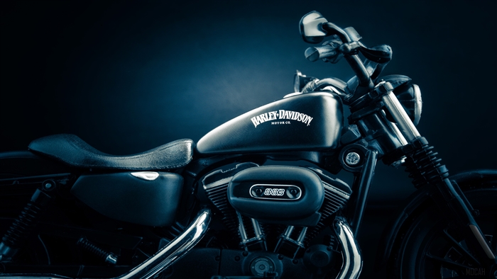 Harley-Davidson Iron 883 Motorcycle 4K