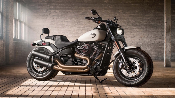 2018 Harley Davidson Softail Fat Bob
