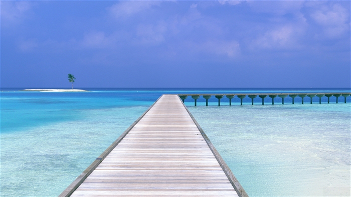 Wooden pier over turquoise water with island and palm tree