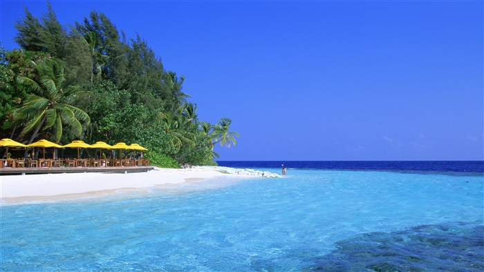 Beach resort with yellow umbrellas and clear blue water