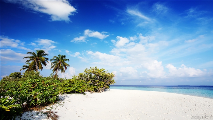 Tropical beach with palm trees and blue sky 4K