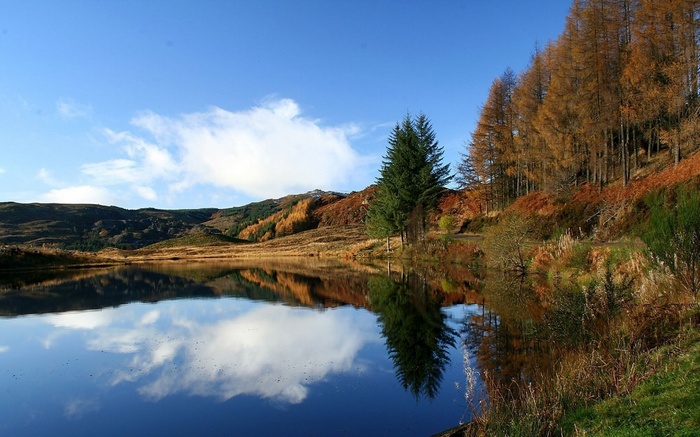 Autumn forest reflected in a calm lake under a blue sky