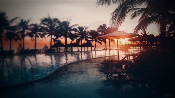 Resort swimming pool with palm trees at sunset