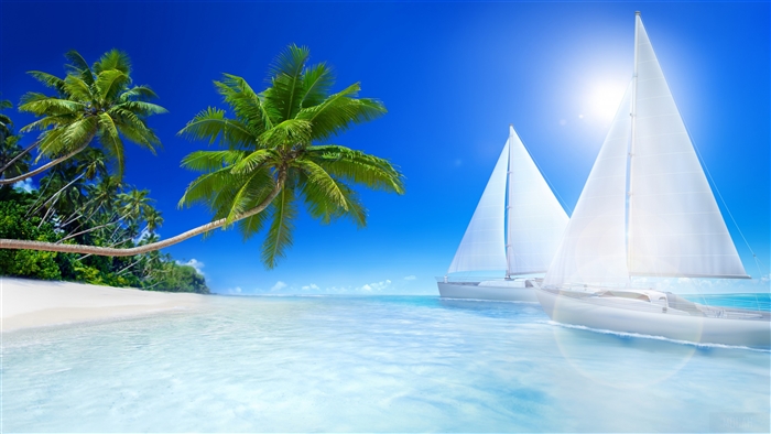 Tropical Beach with Palm Trees and Sailboats 4K