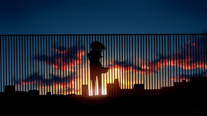 Silhouette of a girl on a rooftop at sunset