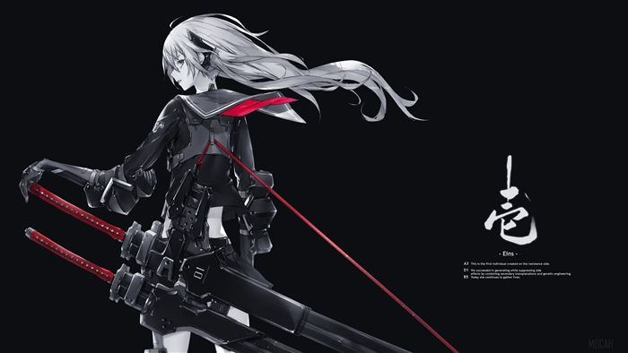 Anime Girl with Katanas 4K