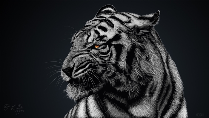 Tiger Artwork