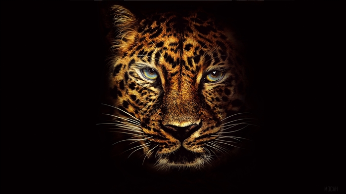 Jaguar from Jumanji Welcome to the Jungle 4K