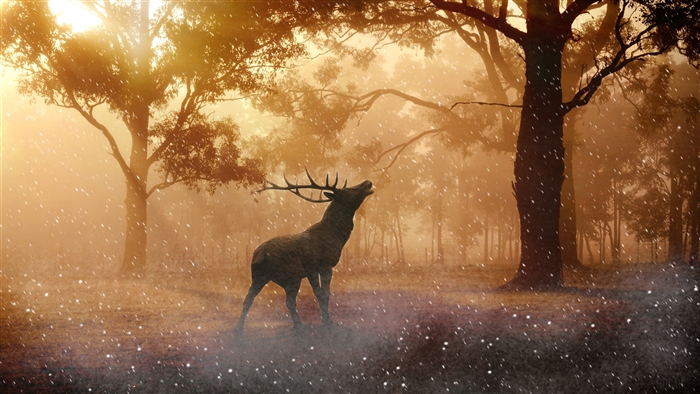 Deer in a foggy forest during snowfall