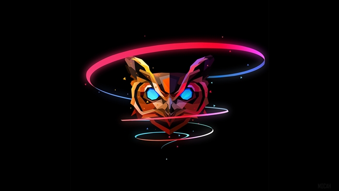 Geometric Owl Artwork 4K