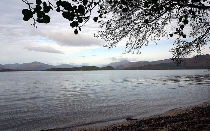 Lake with Mountains and Trees