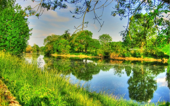 River flowing through a green landscape with trees