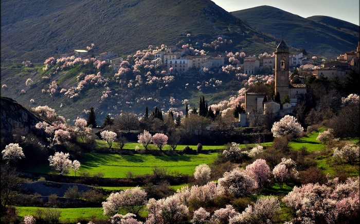 Village on a hill with blooming trees and a church tower