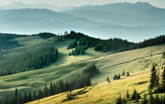Carpathian Mountains in Ukraine with green hills and forests