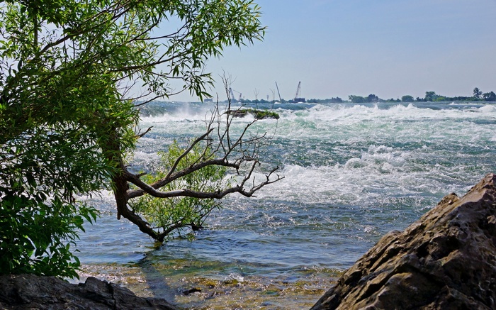 Raging River with Trees and Cranes