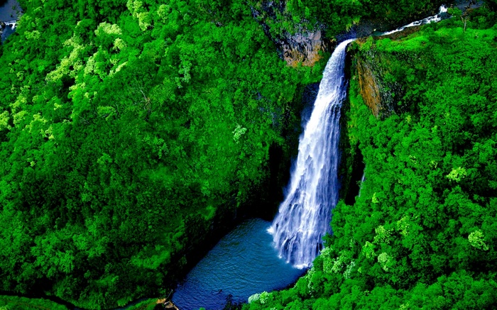 Waterfall cascading into a blue pool surrounded by green forest