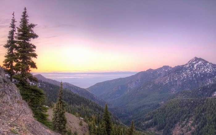 Mountain valley at sunrise with pine trees